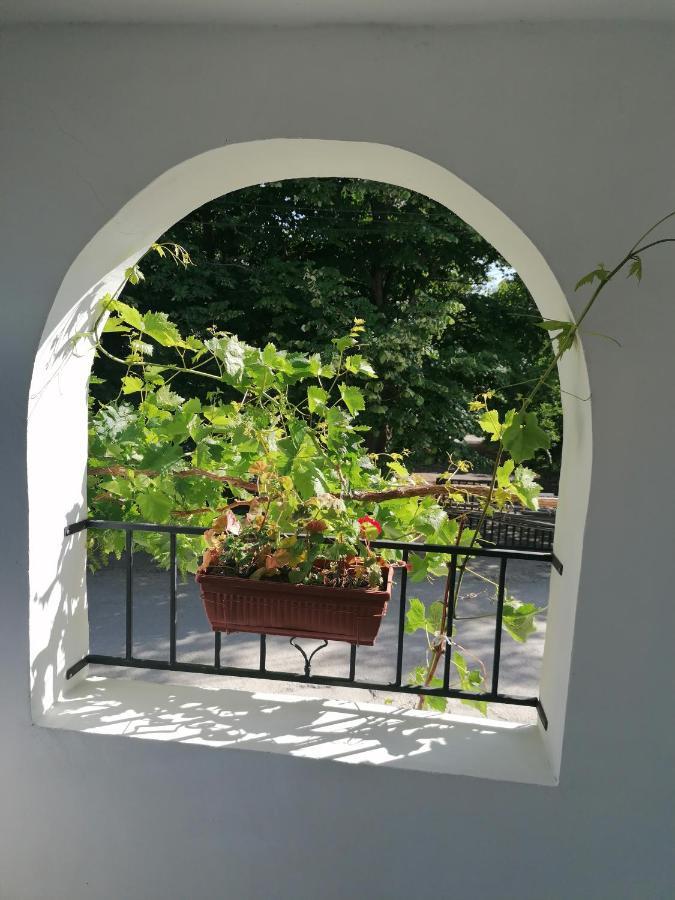 Villa Steffi Goldstrand Exterior foto